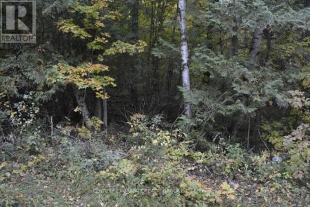 PTLT 61 OLD HASTINGS ROAD, Wollaston, Ontario K0L 1P0, Canada