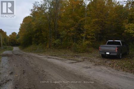 PTLT 61 OLD HASTINGS ROAD, Wollaston, オンタリオ K0L 1P0, カナダ