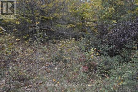 PTLT 61 OLD HASTINGS ROAD, Wollaston, オンタリオ K0L 1P0, カナダ