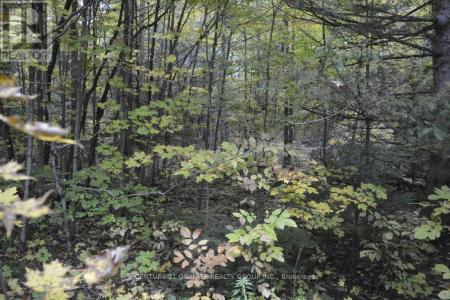 PTLT 61 OLD HASTINGS ROAD, Wollaston, オンタリオ K0L 1P0, カナダ