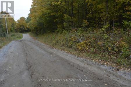 PTLT 61 OLD HASTINGS ROAD, Wollaston, オンタリオ K0L 1P0, カナダ