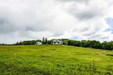 WEST 1/2 6-41-5-W4, Rural Provost No. 52, M.d. Of, Alberta T0B 0Z0, Canada