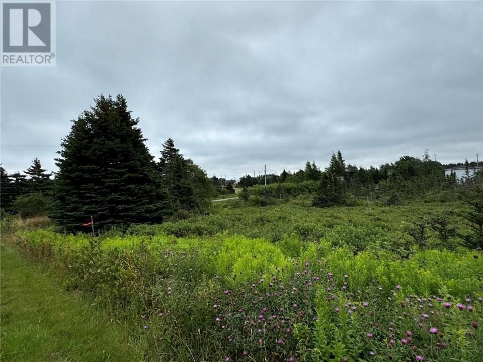 17 CROWES LANE, Torbay, Newfoundland And Labrador A1K 1H5, Canada