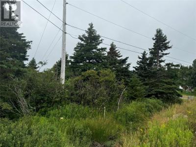 17 CROWES LANE, Torbay, Newfoundland And Labrador A1K 1H5, Canada