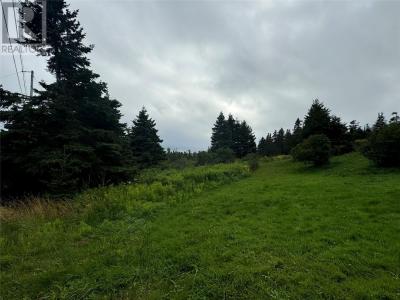 17 CROWES LANE, Torbay, Newfoundland And Labrador A1K 1H5, Canada