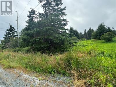 17 CROWES LANE, Torbay, Newfoundland And Labrador A1K 1H5, Canada