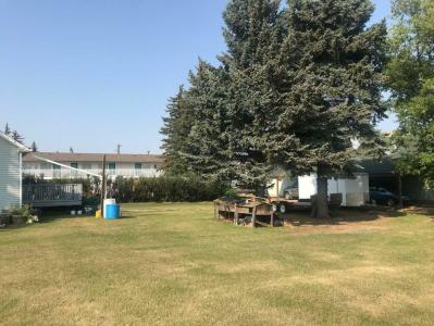 4904 54 STREET, Forestburg, Alberta T0B 1N0, Canada