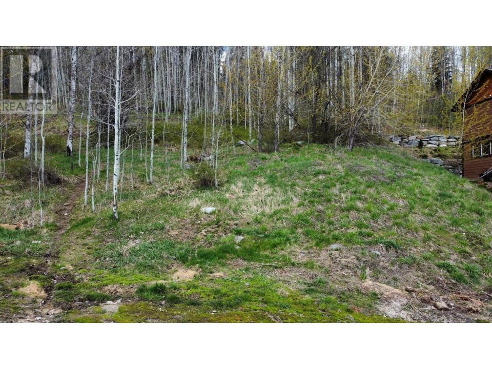 1018 SILVERTIP ROAD, Rossland, Colombie-Britannique V0G 1Y0, Canada