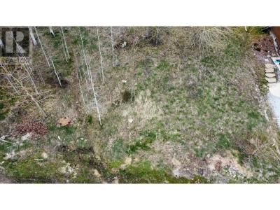 1018 SILVERTIP ROAD, Rossland, British Columbia V0G 1Y0, Canada