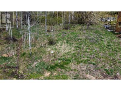 1018 SILVERTIP ROAD, Rossland, Colombie-Britannique V0G 1Y0, Canada