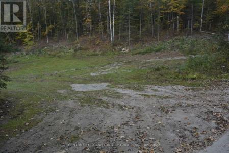 314 AIRPORT ROAD, Faraday, Ontario K0L 1C0, Canada