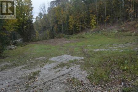 314 AIRPORT ROAD, Faraday, Ontario K0L 1C0, Canada