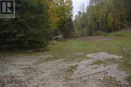314 AIRPORT ROAD, Faraday, Ontario K0L 1C0, Canada