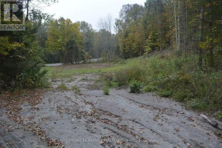 314 AIRPORT ROAD, Faraday, Ontario K0L 1C0, Canada