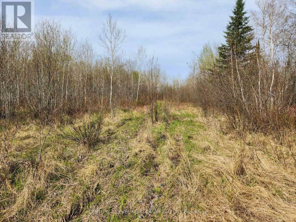 N1/2 LT 9 CON 1, Englehart (central Timiskaming), Ontario P0J 1H0, Canada