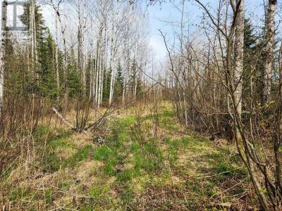 N1/2 LT 9 CON 1, Englehart (central Timiskaming), Ontario P0J 1H0, Canada