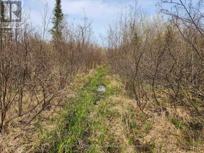 N1/2 LT 9 CON 1, Englehart (central Timiskaming), Ontario P0J 1H0, Canada