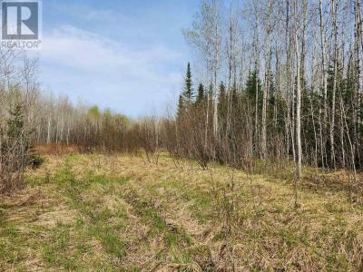 N1/2 LT 9 CON 1, Englehart (central Timiskaming), Ontario P0J 1H0, Canada