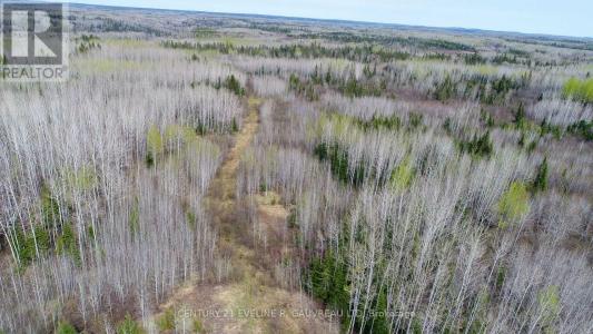 N1/2 LT 9 CON 1, Englehart (central Timiskaming), Ontario P0J 1H0, Canada