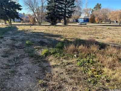 122 & 126 1ST STREET E, Wadena, Saskatchewan S0A 4J0, Canada