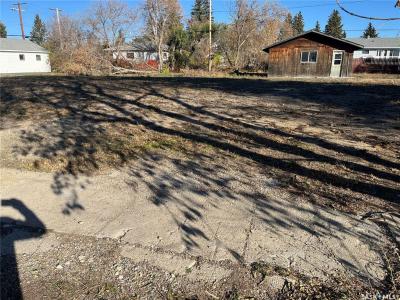 122 & 126 1ST STREET E, Wadena, Saskatchewan S0A 4J0, Canada