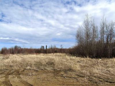 12 SOUTHSHORE ESTATES, Widewater, Alberta T0G 2M0, CANADÁ