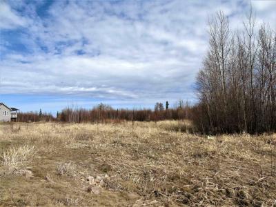 12 SOUTHSHORE ESTATES, Widewater, Alberta T0G 2M0, CANADÁ