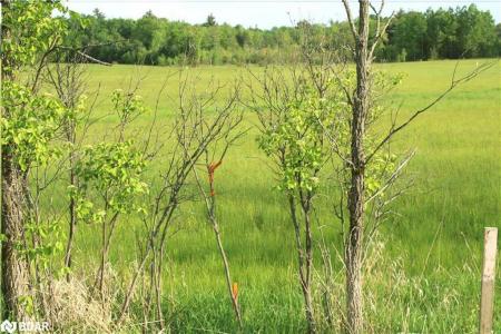 1521 KILWORTHY ROAD, Gravenhurst, Ontario P0E 1G0, Canada
