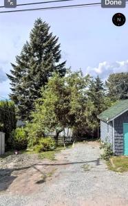 12990 112A AVENUE, Surrey, British Columbia V3T 2S8, Canada