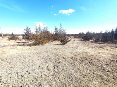 521 HWY 41 N/A, Greater Napanee, Ontario K0K 2W0, Canada