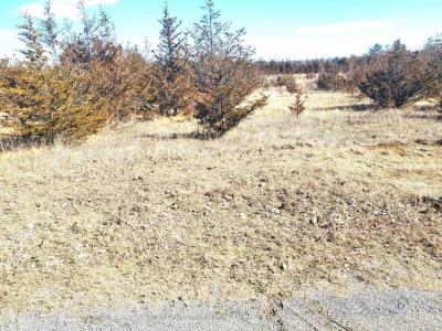 521 HWY 41 N/A, Greater Napanee, Ontario K0K 2W0, Canada