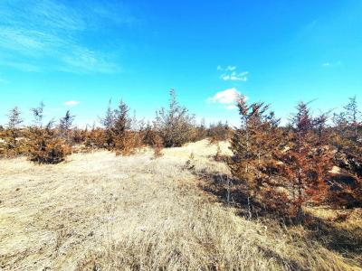 521 HWY 41 N/A, Greater Napanee, Ontario K0K 2W0, Canada
