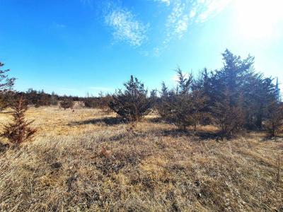 521 HWY 41 N/A, Greater Napanee, Ontario K0K 2W0, Canada