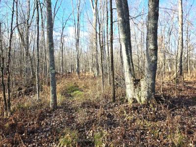 0 ENRIGHT ROAD, Tyendinaga, Ontario K0K 3A0, Canada