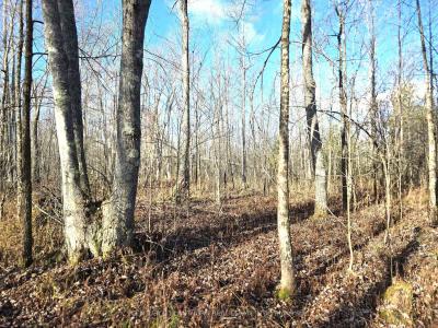 0 ENRIGHT ROAD, Tyendinaga, Ontario K0K 3A0, Canada