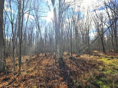 0 ENRIGHT ROAD, Tyendinaga, Ontario K0K 3A0, Canada