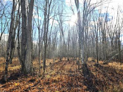 0 ENRIGHT ROAD, Tyendinaga, Ontario K0K 3A0, Canada