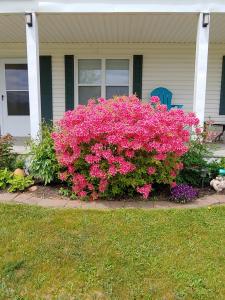 47 NICOLE DRIVE, North Carleton, Isla Del Principe Edward C0B 1X0, Canadá