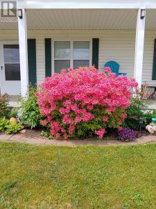 47 NICOLE DRIVE, North Carleton, Isla Del Principe Edward C0B 1X0, Canadá