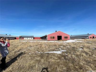 RURAL ADDRESS, Excelsior Rm No. 166, Saskatchewan S0H 4J0, CANADÁ