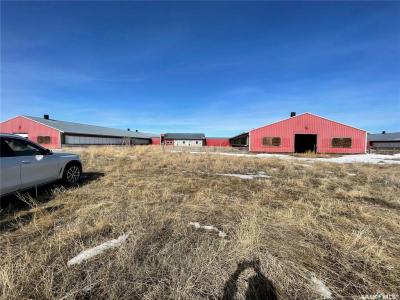 RURAL ADDRESS, Excelsior Rm No. 166, Saskatchewan S0H 4J0, CANADÁ