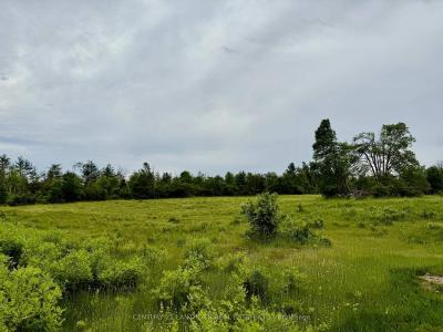 00 COOPER ROAD, Madoc, Ontario K0K 2K0, Canada
