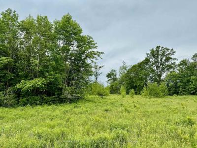 00 COOPER ROAD, Madoc, Ontario K0K 2K0, Canada