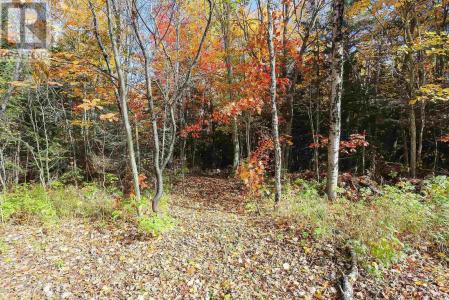 LOT 17 NOKOMIS BEACH RD, Sault Ste. Marie, Ontario P6A 5K6, Canadá