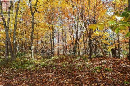 LOT 18 NOKOMIS BEACH RD, Sault Ste. Marie, Ontario P6A 5K6, Canadá
