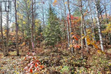 LOT 18 NOKOMIS BEACH RD, Sault Ste. Marie, Ontario P6A 5K6, Canada