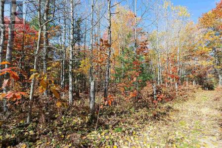 LOT 18 NOKOMIS BEACH RD, Sault Ste. Marie, Ontario P6A 5K6, Canadá
