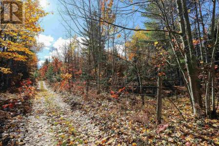 LOT 18 NOKOMIS BEACH RD, Sault Ste. Marie, Ontario P6A 5K6, Canadá