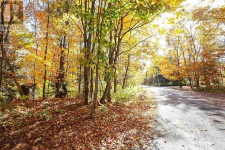 LOT 19 NOKOMIS BEACH RD, Sault Ste. Marie, オンタリオ P6A 5K6, カナダ