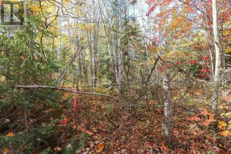 LOT 19 NOKOMIS BEACH RD, Sault Ste. Marie, オンタリオ P6A 5K6, カナダ